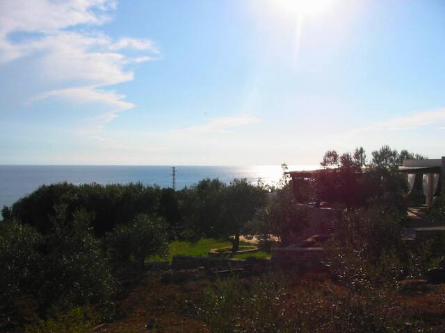 VILLA TITTI gallery image 3