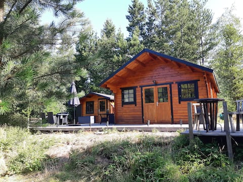 Unique little forest cabin by forest and stream