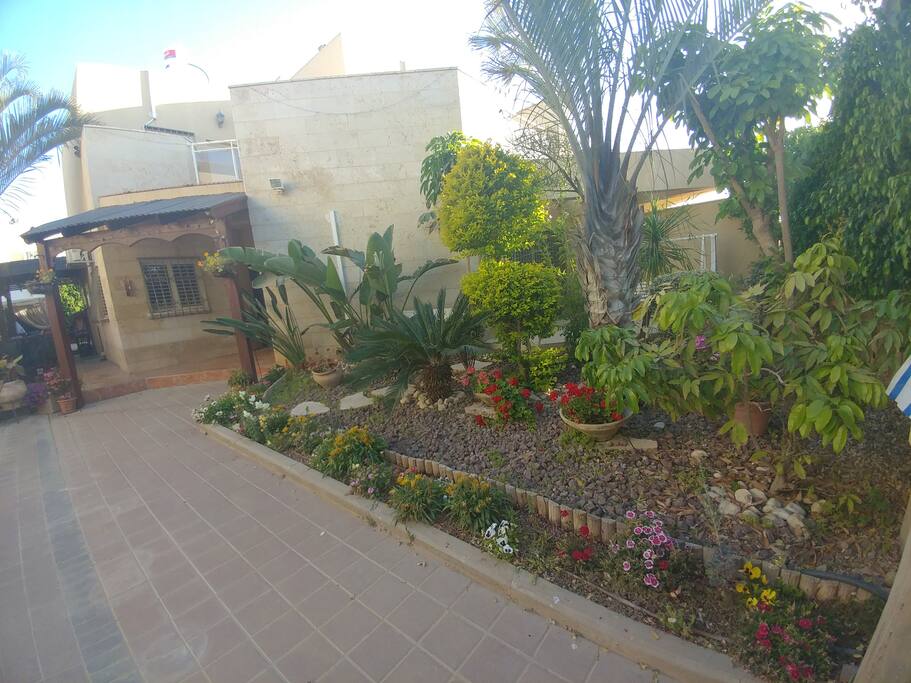 house with garden view
