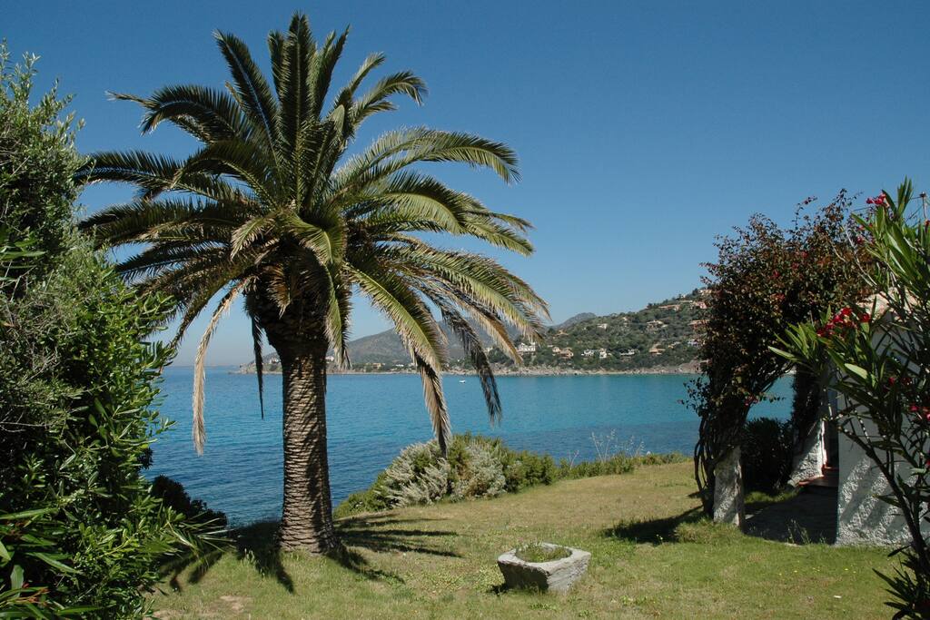 Il giardino