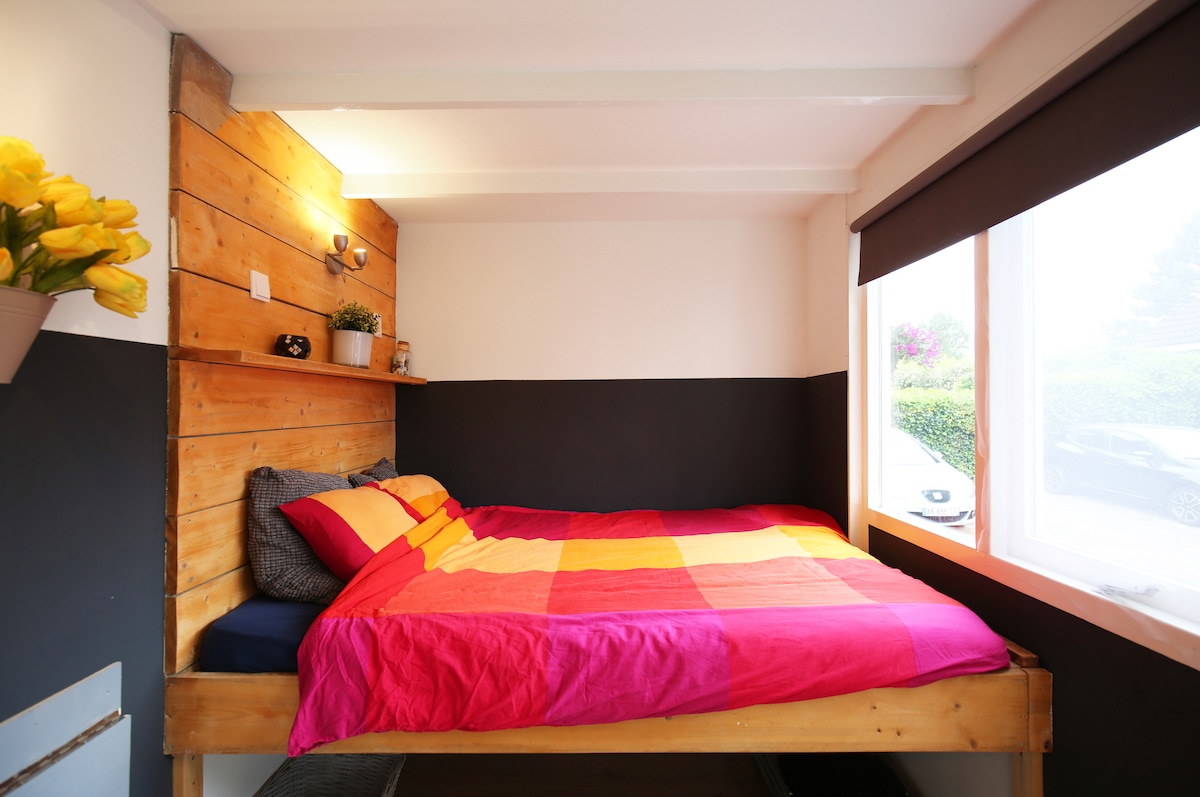 A comfortable sleeping area features a spacious bed dressed in a colorful quilt with shades of red, orange, and pink. Natural light enters through a large window, contrasting with the dark walls. Decorative plants and soft lighting enhance the cozy ambiance.