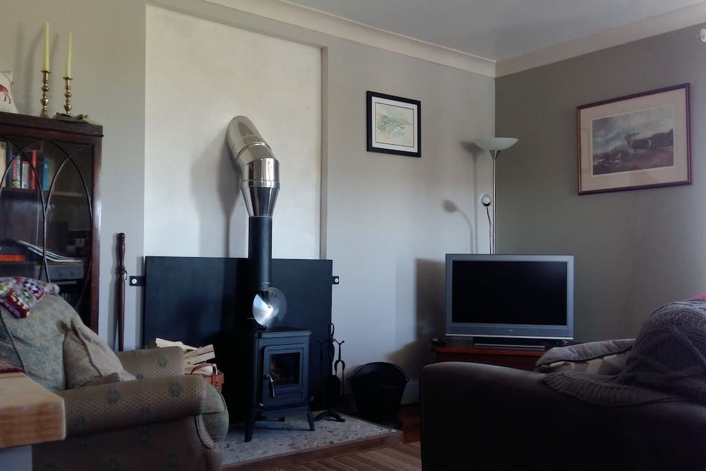 Main living space with pull out sofa bed.