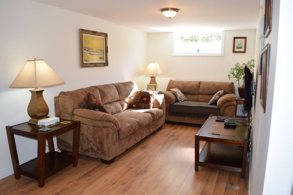 Living room with TV, cable, Netflix, and Roku