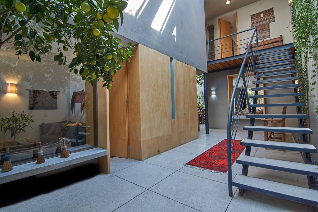 The foyer, with 30' ceilings and an orange tree!