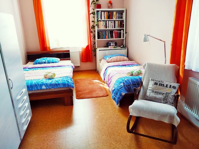 Apartment at Slezské Předměstí
