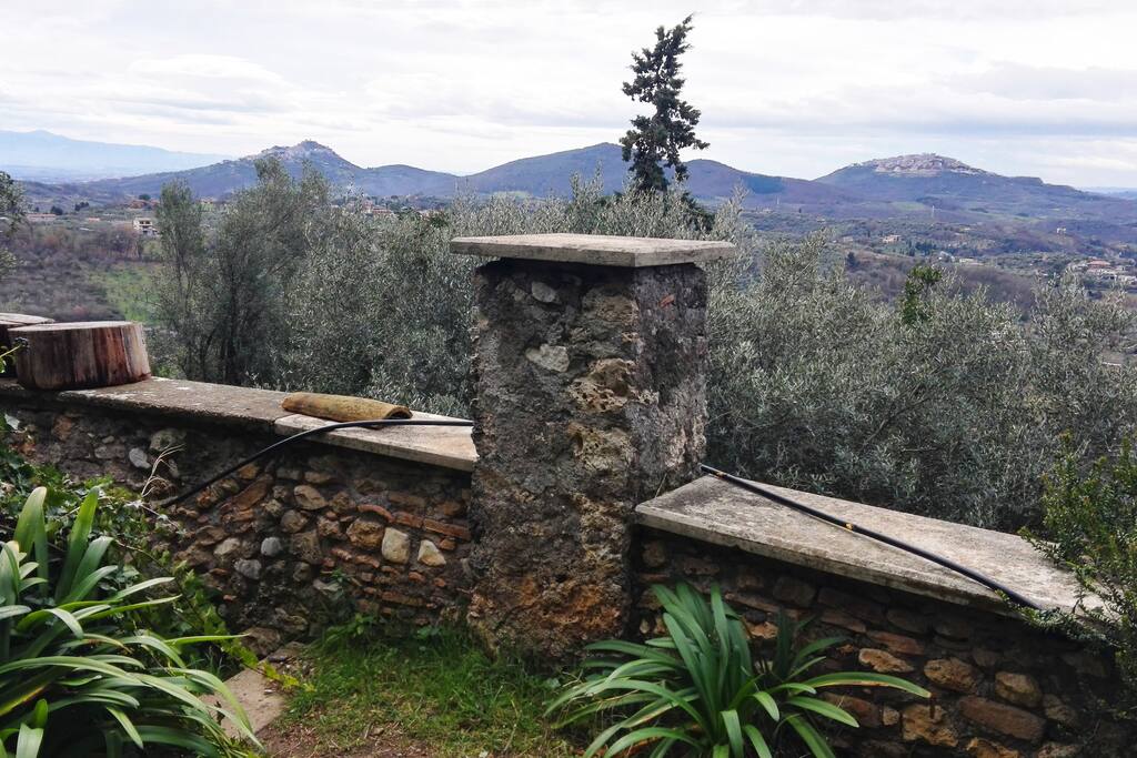 A view from the communal gardens.