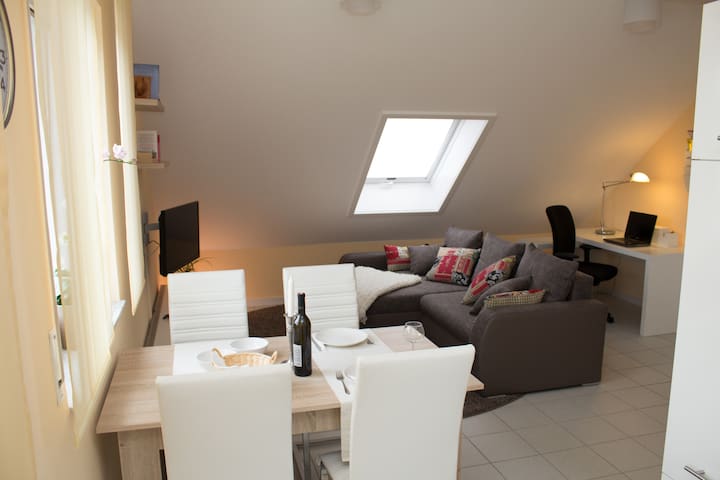 Apartment/ 2- Zimmerwohnung