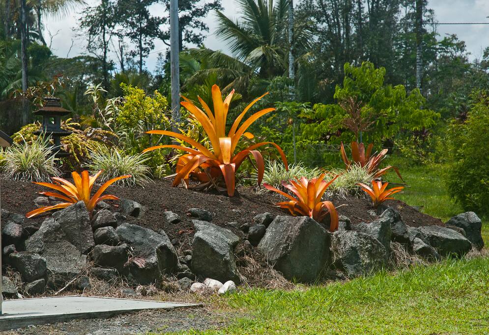 Entrance of home - garden