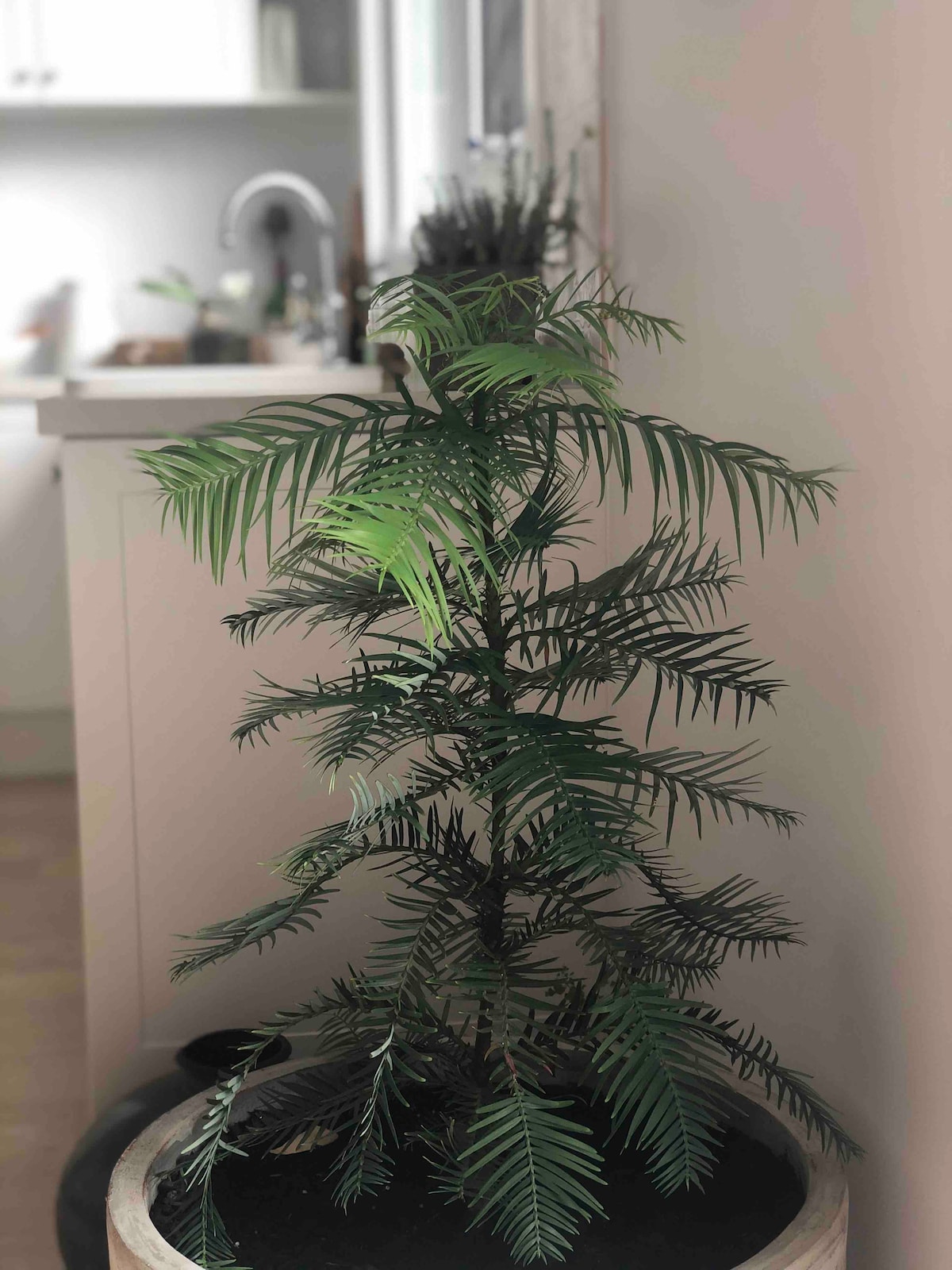 Annonce Airbnb populaire: Hammock Hill - Architecturally designed new luxury à Bowral