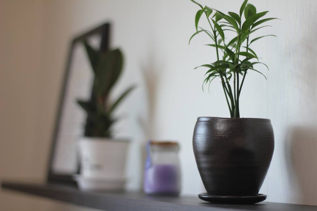 Decoration