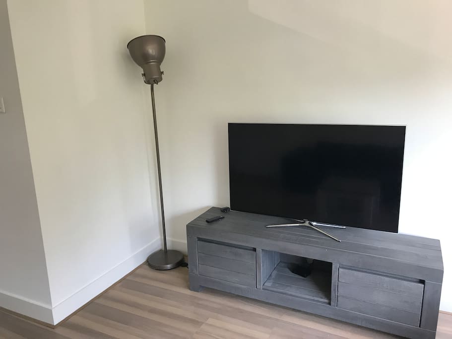 55'' Full HD with netflix and international television