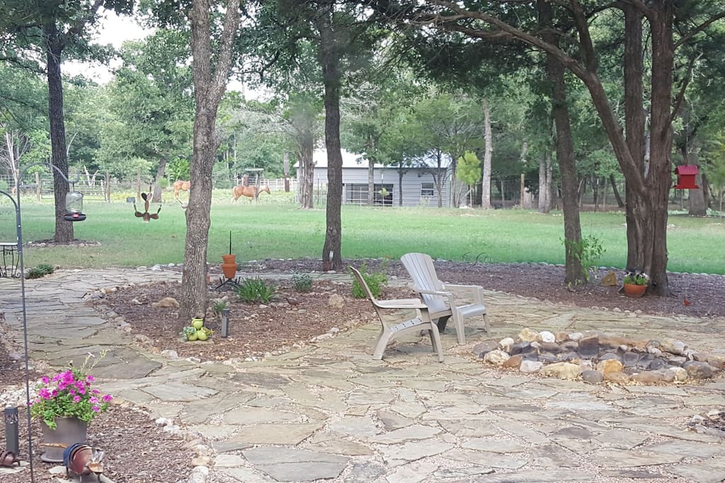 The garden and fire pit in the summer.