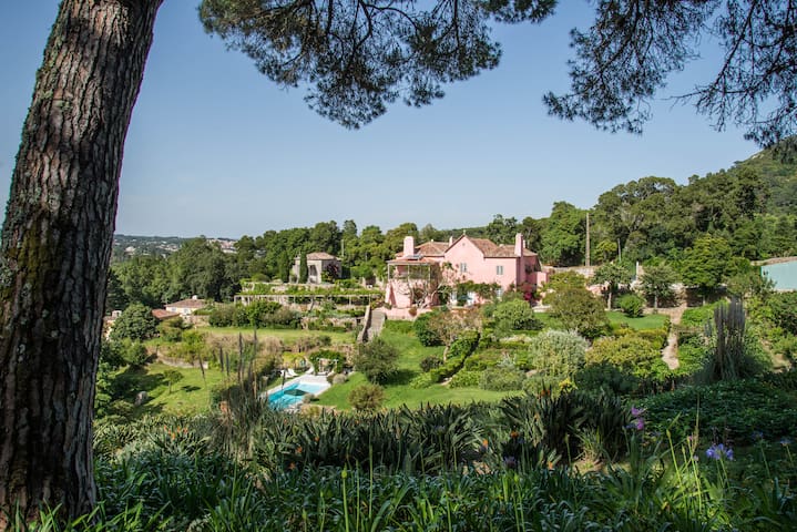 Magnificent historic family villa