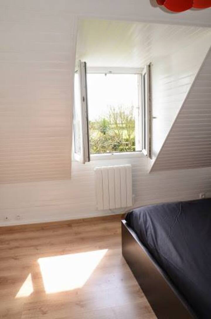 Habitación 1