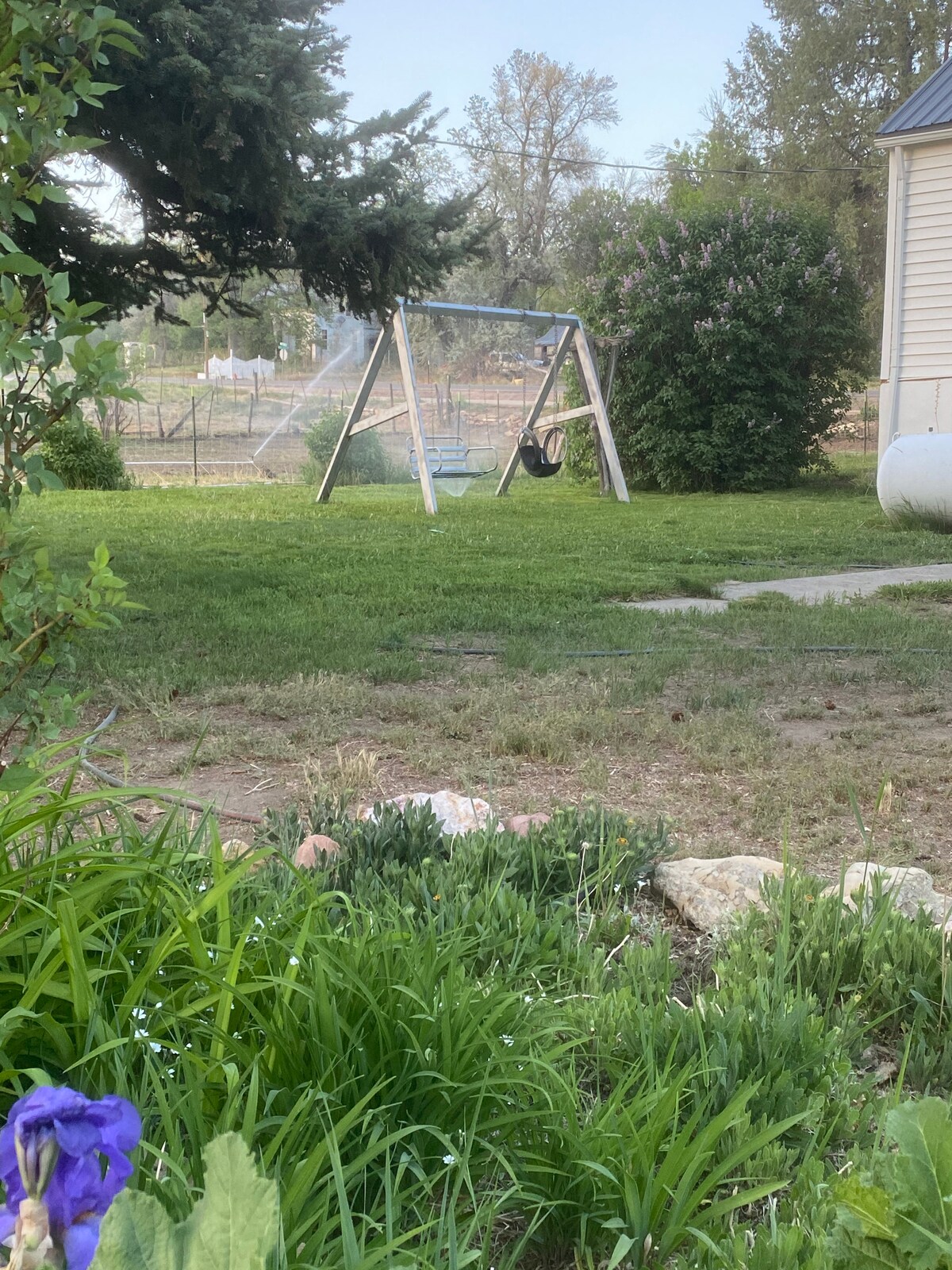 A spacious backyard is displayed, featuring a swing set amidst lush green grass. Flowering plants and bushes are visible, contributing to the natural environment. A path leads towards the swing set, with an area for gardening seen in the background.
