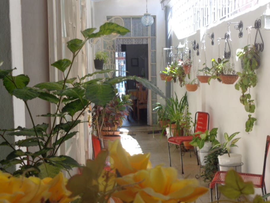 El toque verde y las flores hacen de este espacio un pequeño jardín dentro del hogar.