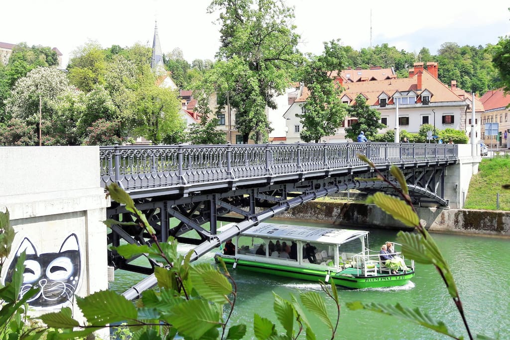 View of the house from Ljubljanica