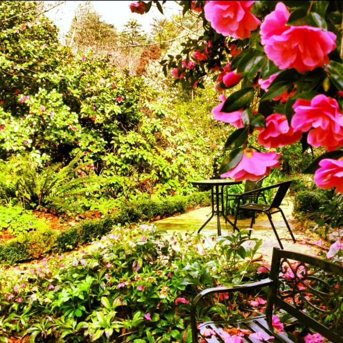 Winter Garden