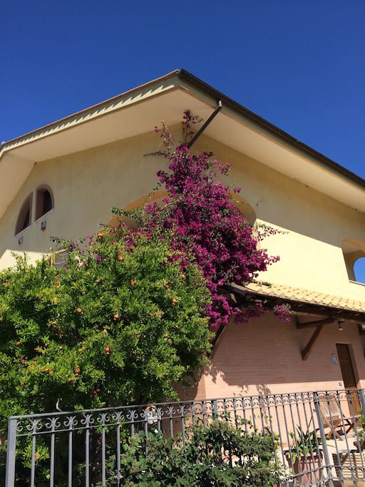 Facciata esterna della casa