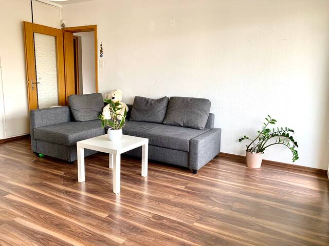 Airbnb Bottmingen Vacation Rentals Places To Stay Basel