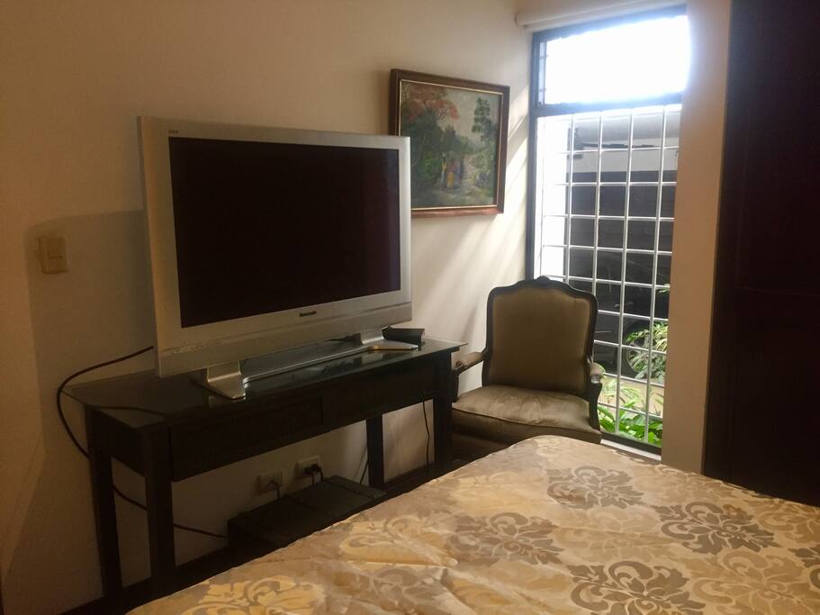 Television