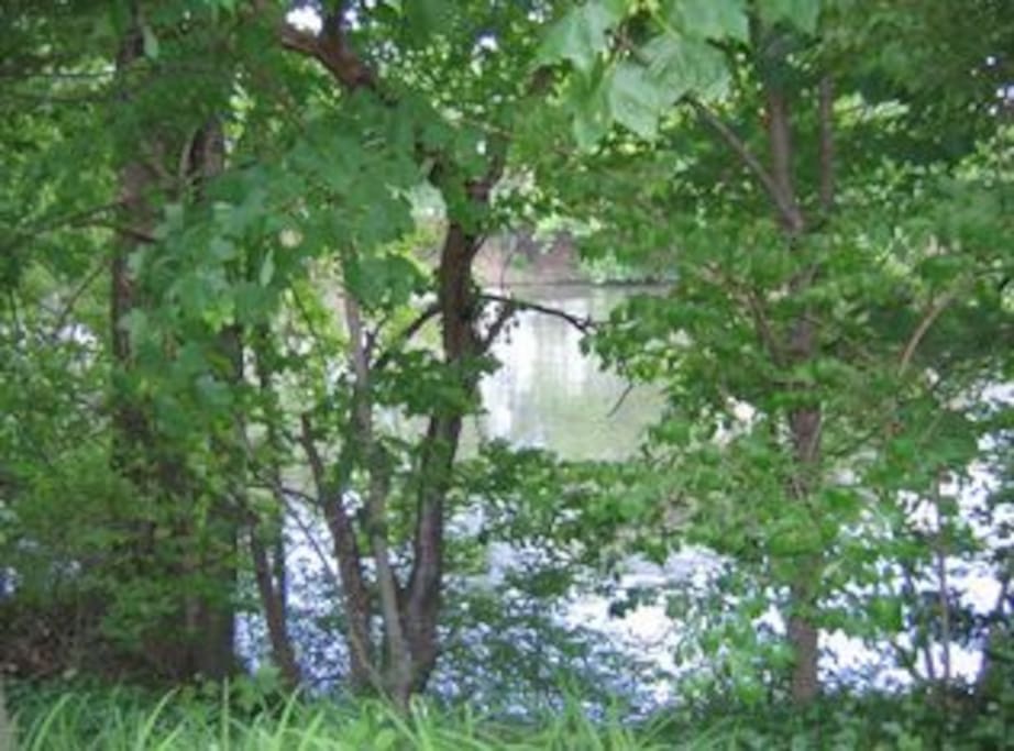 Lake view at rear