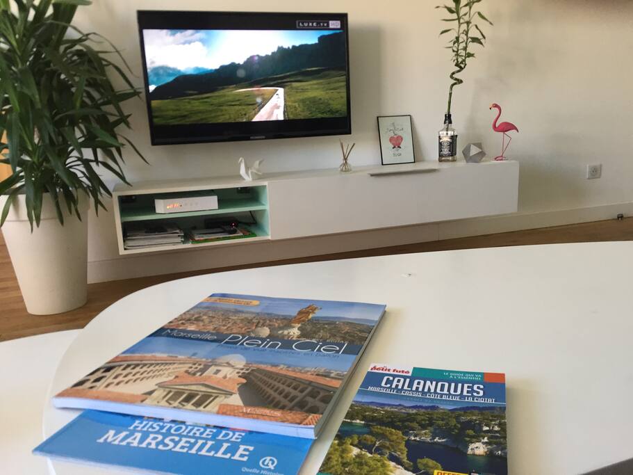 Quelques livres ayant pour thème "MARSEILLE"
