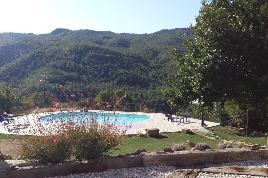 Piscina e giardino