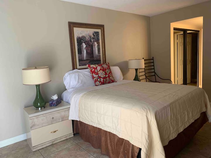 Მთავარი საძინებელი დიდი საწოლით. ტელევიზორი