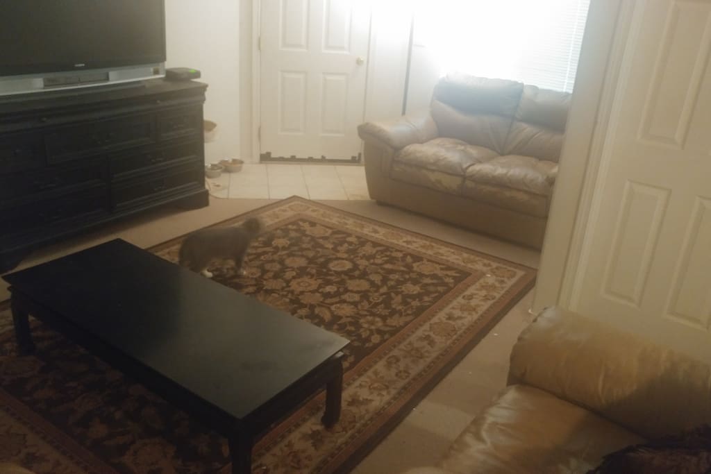 Living/family room