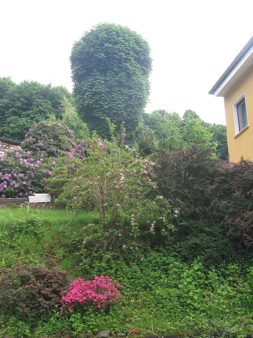 Haus m. Garten