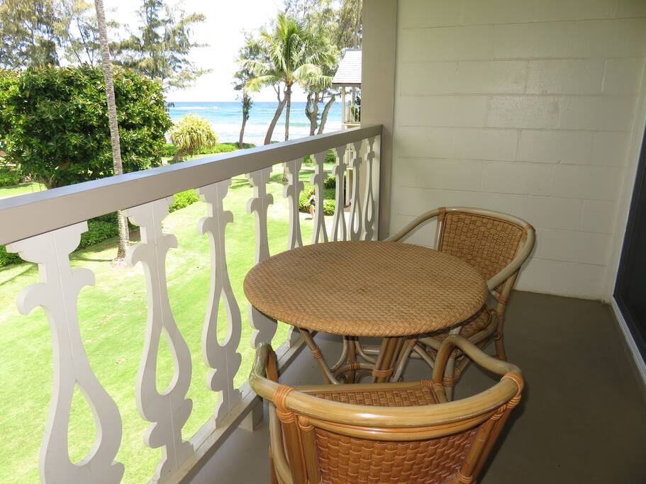 View from lanai - all weather furniture looking right.