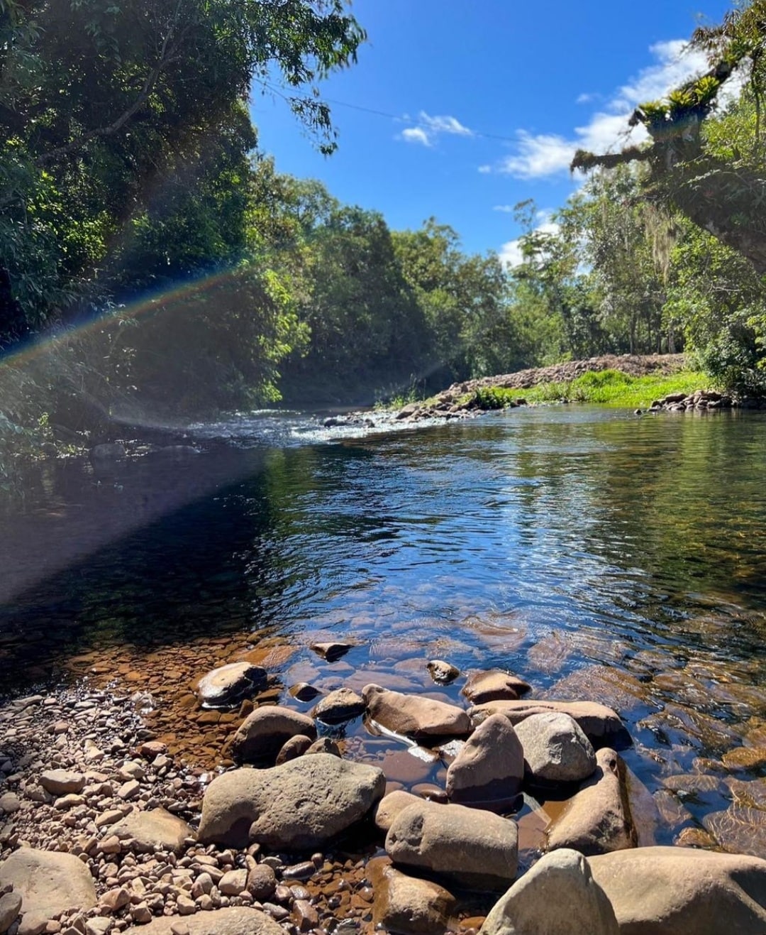 A serene view of a crystal-clear river is captured, with smooth stones lining the water's edge. Lush greenery surrounds the water, and gentle sunlight illuminates the scene, reflecting off the river's surface. A grassy area is visible in the distance, enhancing the natural ambiance.
