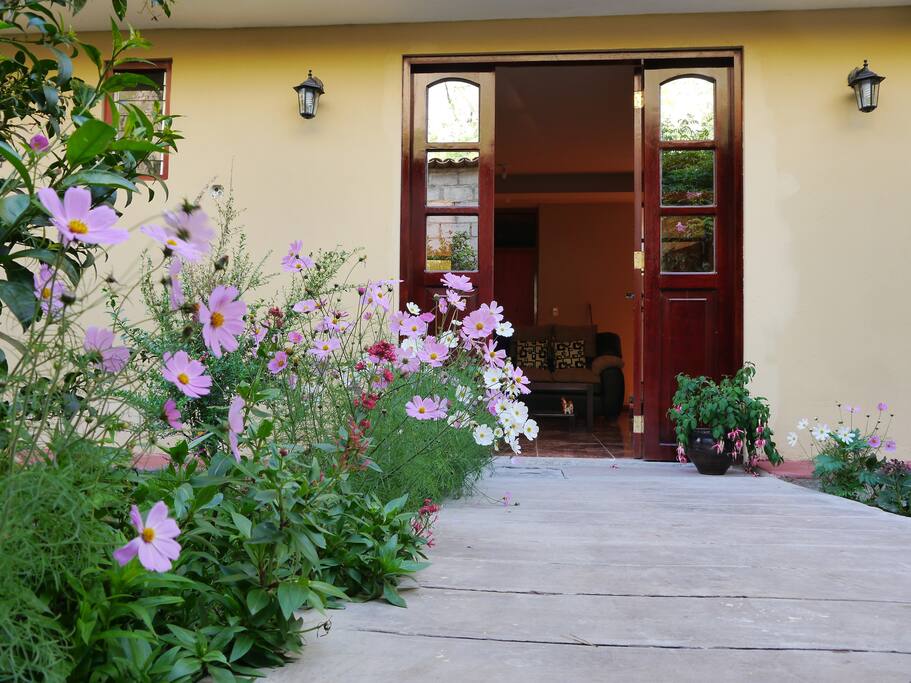 Entrada a recepción area de jardin