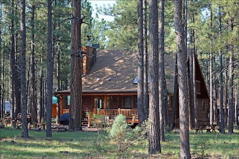 Log Cabin on National Forest