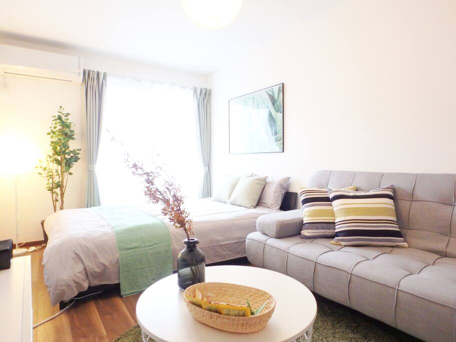 Living and bed room
