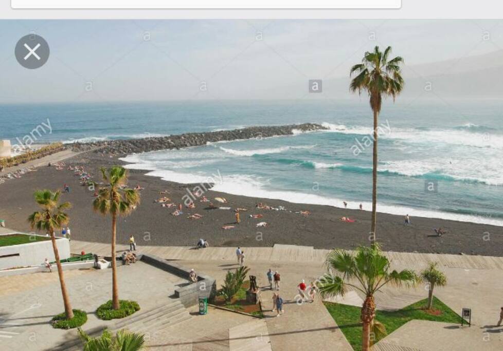 this beach is 50 M from the apartement