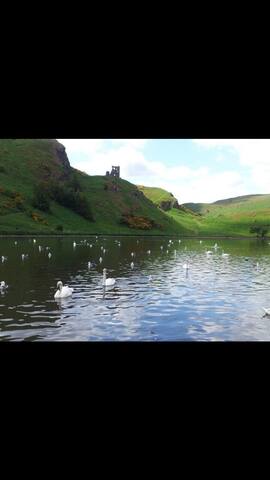 Large Room in the City Centre,freWiFi