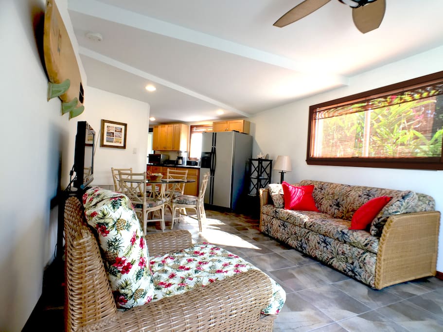 The living room is bright, spacious, comfortable and relaxing. The sofa is a comfy queen size bed!