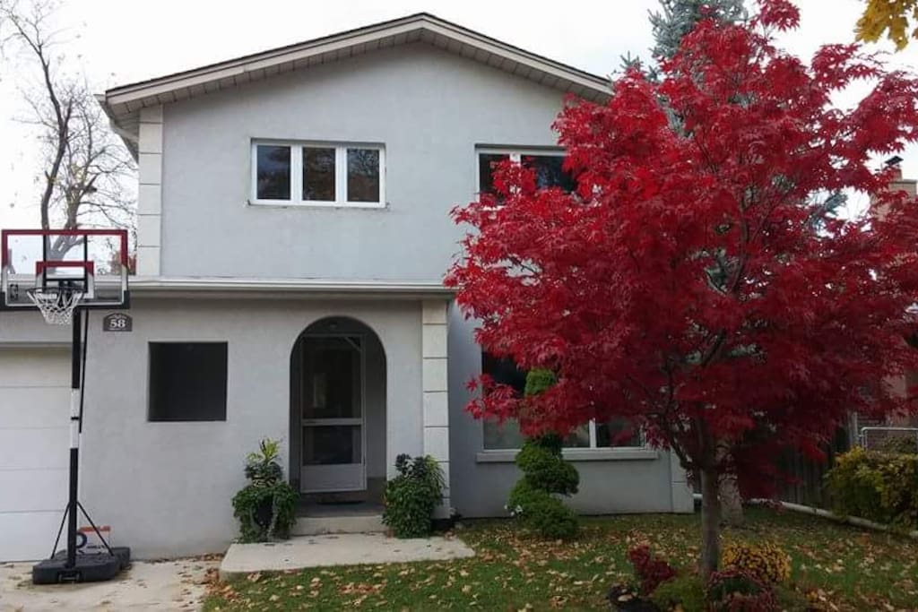 Front of the house
