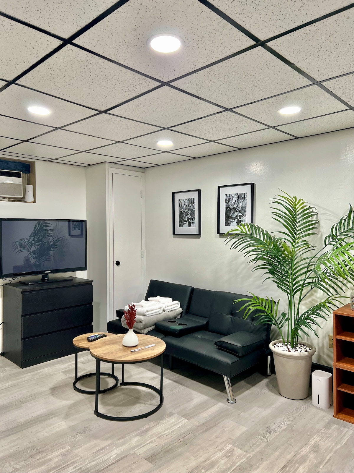 A compact living area features a dark sofa with decorative pillows facing a 55-inch TV. Two framed black-and-white photographs hang on the walls above a round coffee table, which is complemented by a potted plant. A chest of drawers adds storage space alongside the inviting atmosphere.