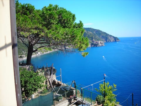 Villino Azzurra CITR: 011030-AFF-081