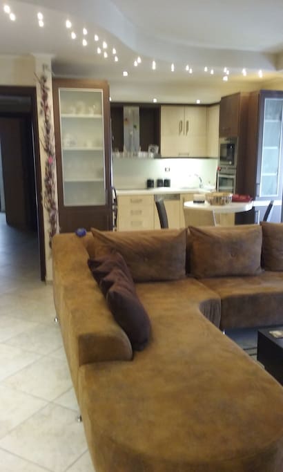 Living room and the kitchen in the back.