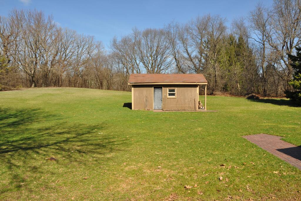 Back yard