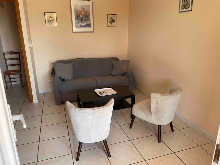 סלון עם ספה נפתחת