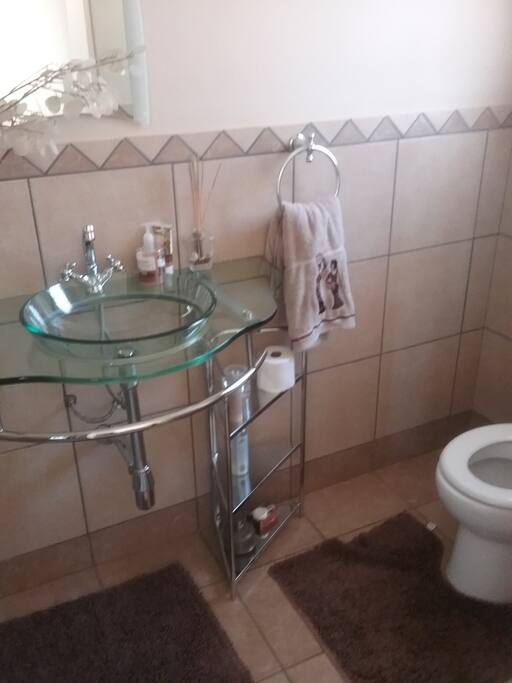 Shower and toilet
