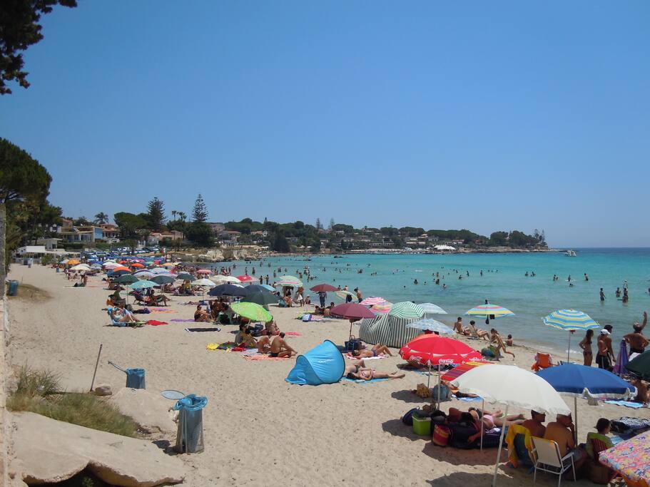 mare