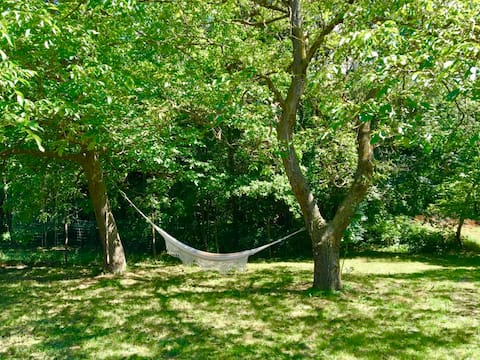 "The house of the swallows"