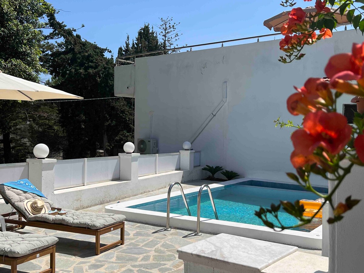 A private pool is surrounded by a stone patio, featuring two lounge chairs with plush cushions. Lush greenery and vibrant flowers enhance the serene environment. An umbrella provides shade, while the white walls reflect natural light, creating a calming atmosphere.