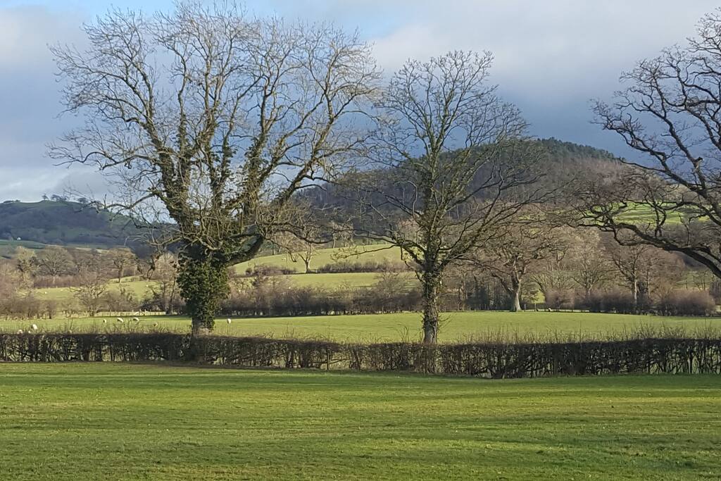 View from Wern Bach